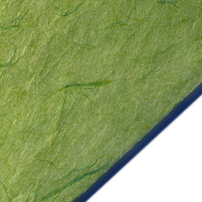 
  
	
    
	
    MOSS GREEN Thai Unryu Mulberry Paper