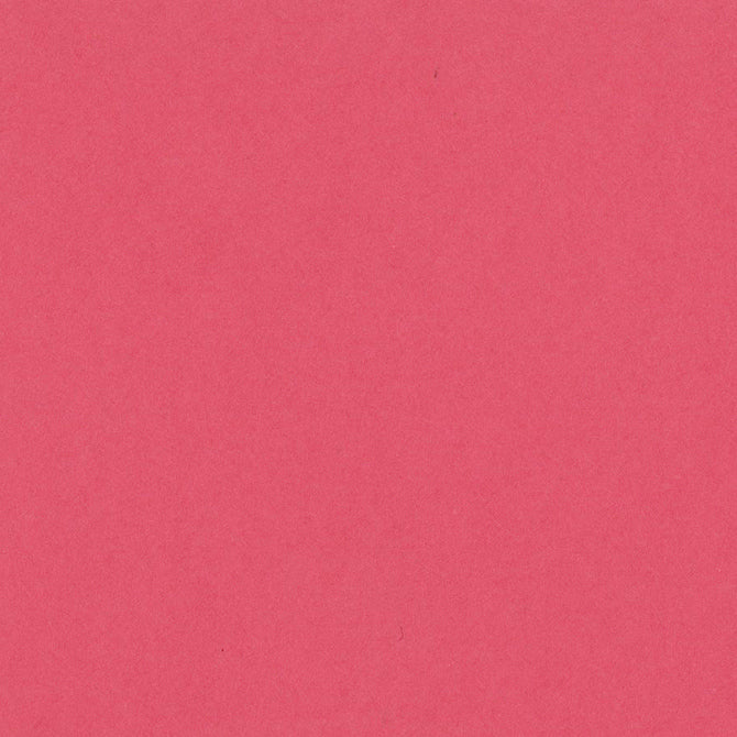 ROSE CHINTZ - My Colors Heavyweight 100 lb 12x12 Cardstock