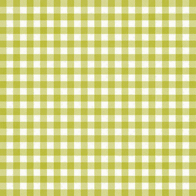 GREEN GINGHAM - 12x12 Double-Sided Patterned Paper - Simple Stories
