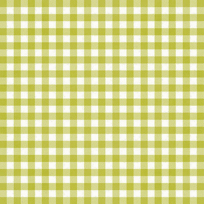 GREEN GINGHAM - 12x12 Double-Sided Patterned Paper - Simple Stories