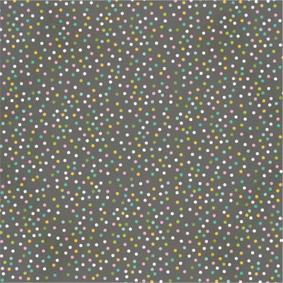 DREAMS COME TRUE - 12x12 Double-Sided Patterned Paper - Simple Stories