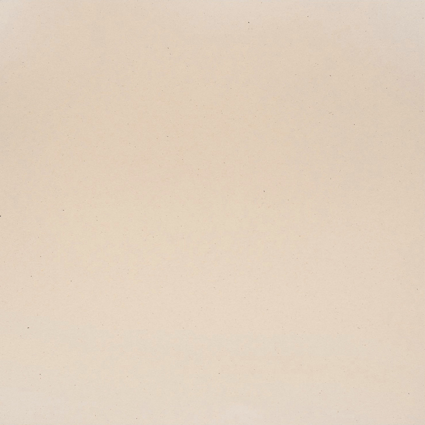 Natural Stone - 12x12 Bazzill Speckles cardstock - from recycled paper