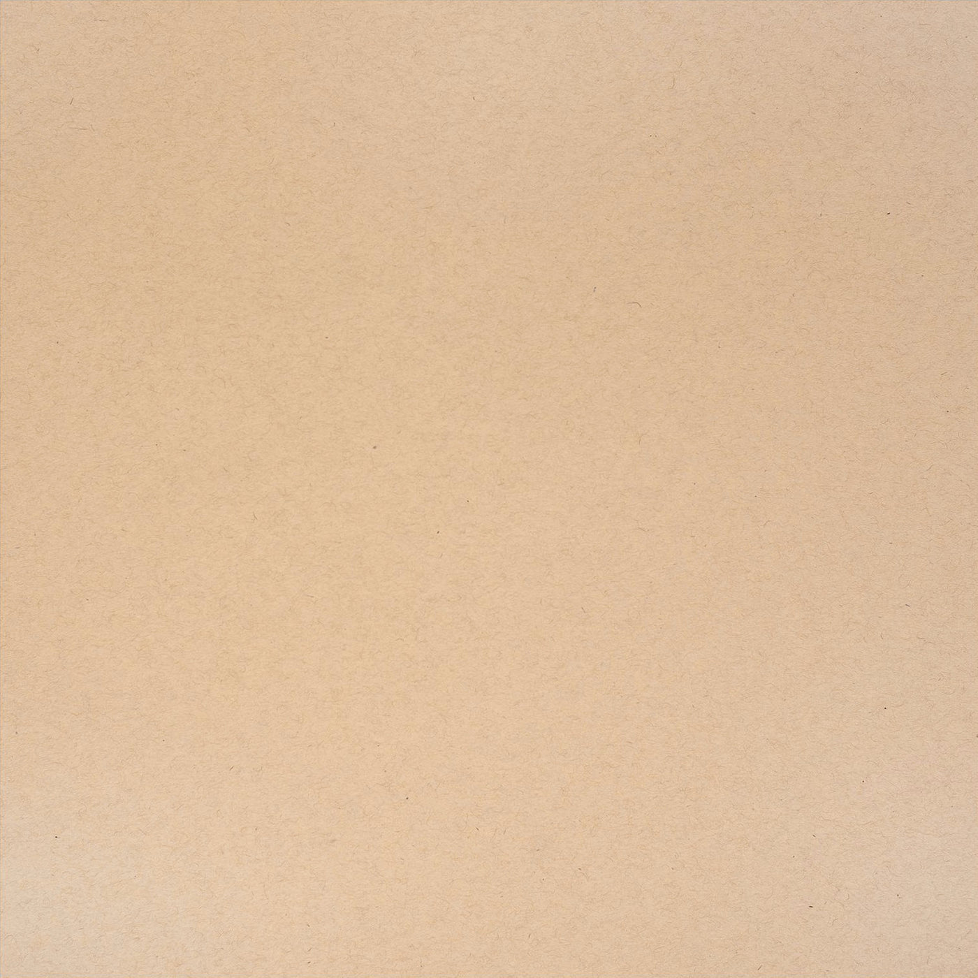 Chip Stone - 12x12 Bazzill Speckles cardstock