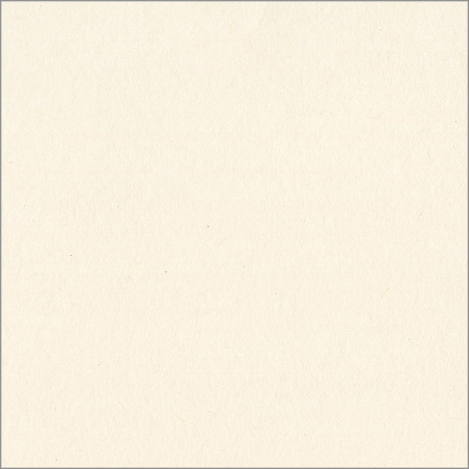 NATURAL 12x12 smooth cardstock - Bazzill Smoothies Collection - off-white in color