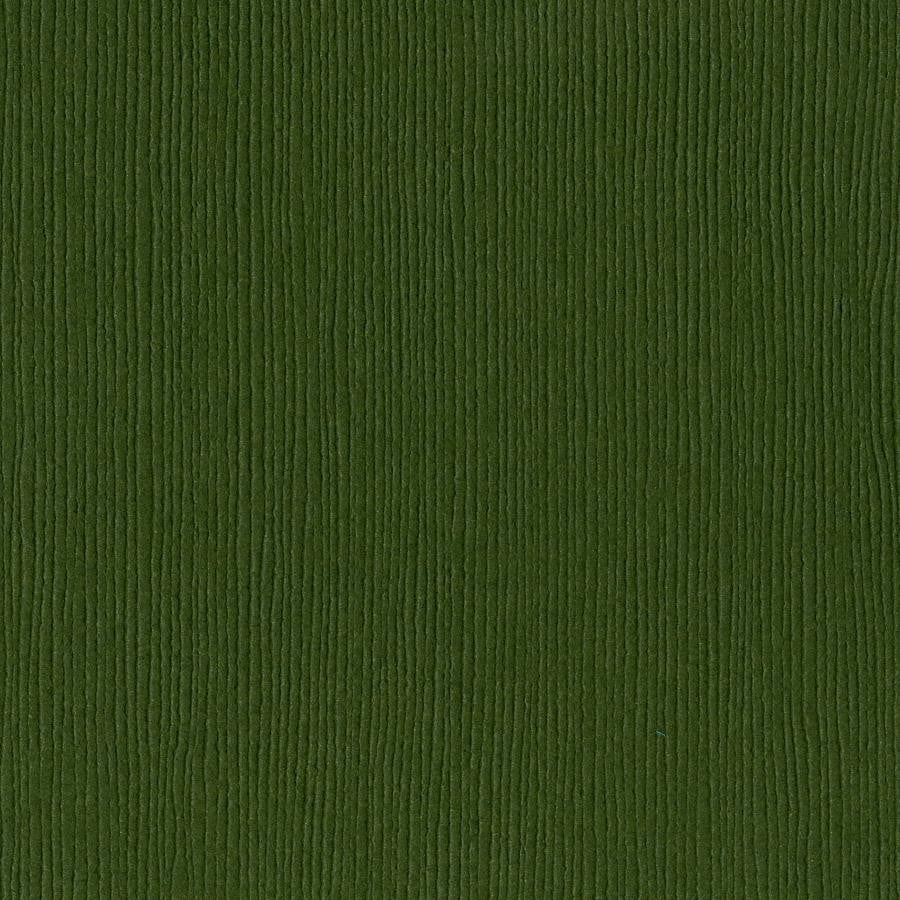 Bazzill Basics RAIN FOREST - green cardstock - 12x12 inch - 80 lb - textured scrapbook paper