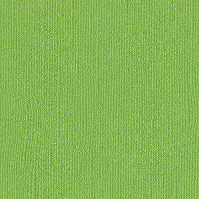 BANK ROLL - green 12x12 cardstock with shimmery mica coating - Bazzill Bling Collection