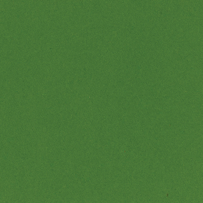 KIWI CRUSH 12x12 smooth cardstock - Bazzill Smoothies Collection - kiwi fruit green in color