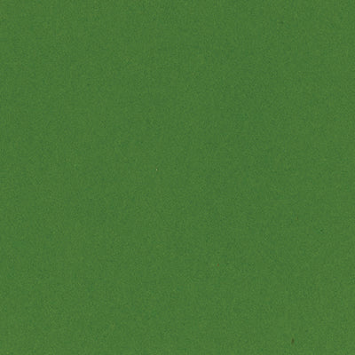 KIWI CRUSH 12x12 smooth cardstock - Bazzill Smoothies Collection - kiwi fruit green in color
