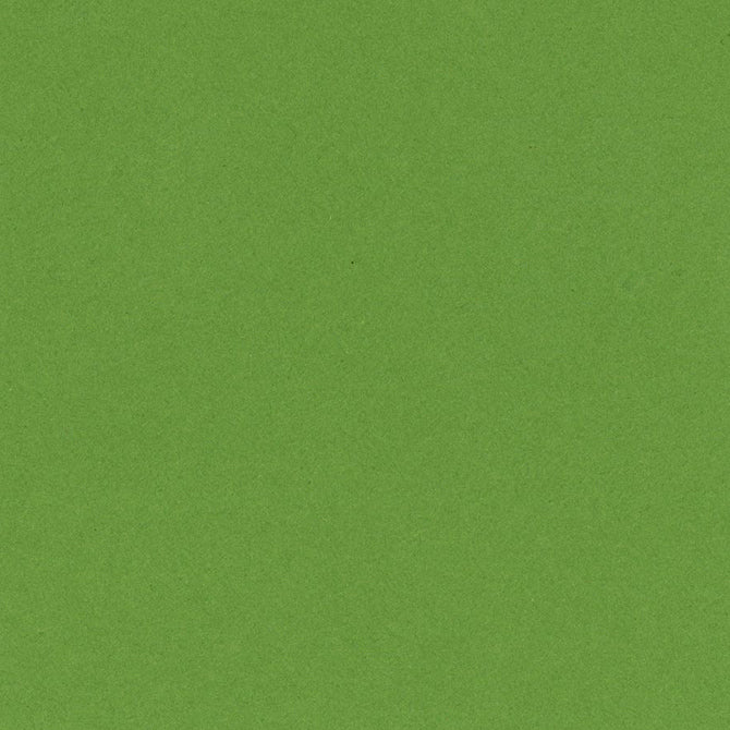 LIME CRUSH 12x12 smooth cardstock - Bazzill Smoothies Collection - dark lime green in color