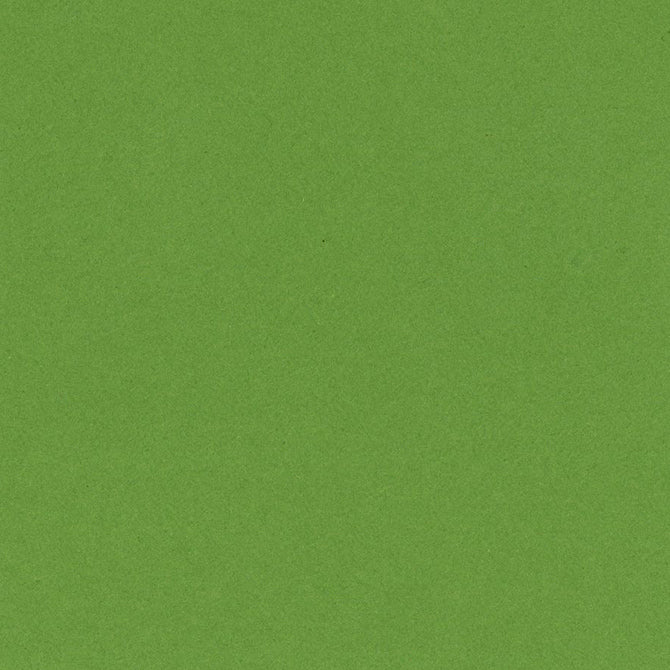 LIME CRUSH 12x12 smooth cardstock - Bazzill Smoothies Collection - dark lime green in color