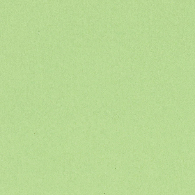 APPLE CRUSH 12x12 smooth cardstock - Bazzill Smoothies Collection - light green in color