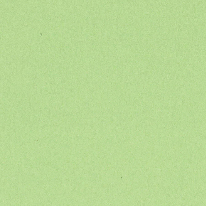 APPLE CRUSH 12x12 smooth cardstock - Bazzill Smoothies Collection - light green in color