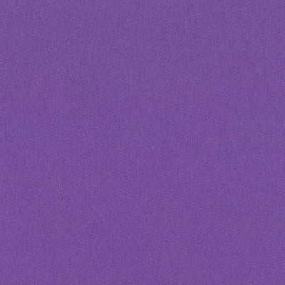 GRAPE DELIGHT 12x12 smooth cardstock - Bazzill Smoothies Collection - purple grape in color