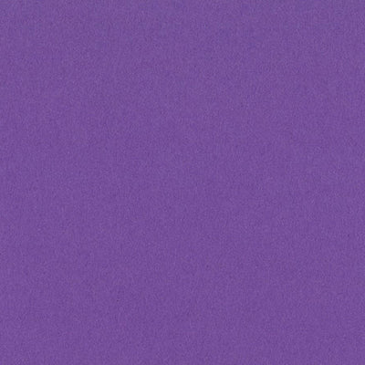 GRAPE DELIGHT 12x12 smooth cardstock - Bazzill Smoothies Collection - purple grape in color