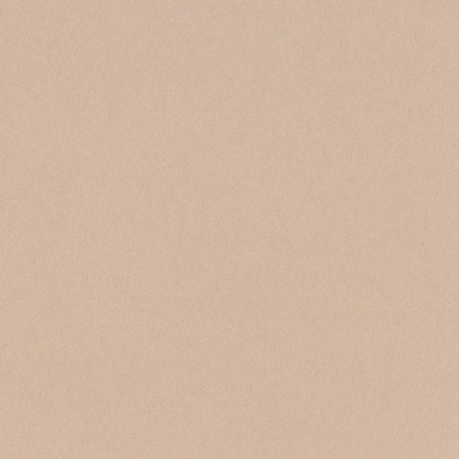 ALMOND CREAM 12x12 smooth cardstock - Bazzill Smoothies Collection - fallow brown in color