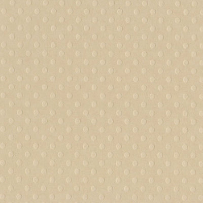 SANDBOX buff colored Dotted Swiss - 12x12 cardstock with embossed dot pattern - Bazzill Basics