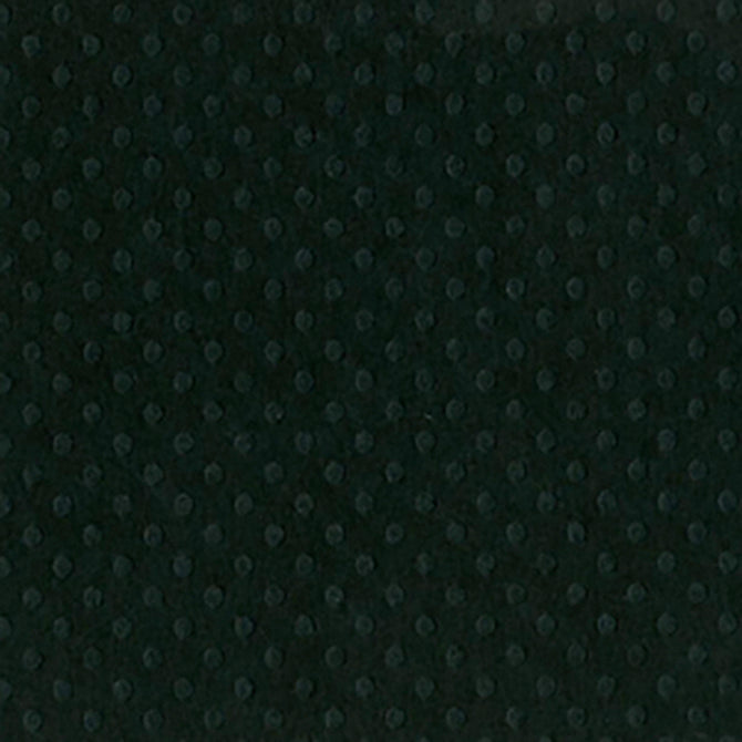 PEPPER black-on-black Dotted Swiss 12x12 Cardstock from Bazzill Paper