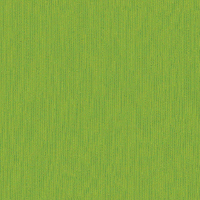 Intense Kiwi_bright lime-green 12x12 textured cardstock_Bazzill Fourz