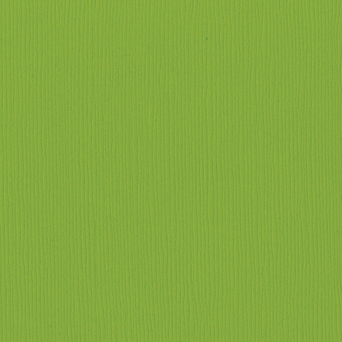 Intense Kiwi_bright lime-green 12x12 textured cardstock_Bazzill Fourz