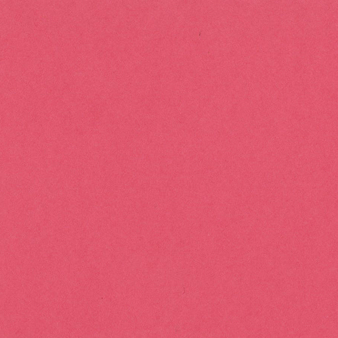 CANDY HEARTS deep pink 12x12 heavy cardstock from Bazzill Card Shoppe line