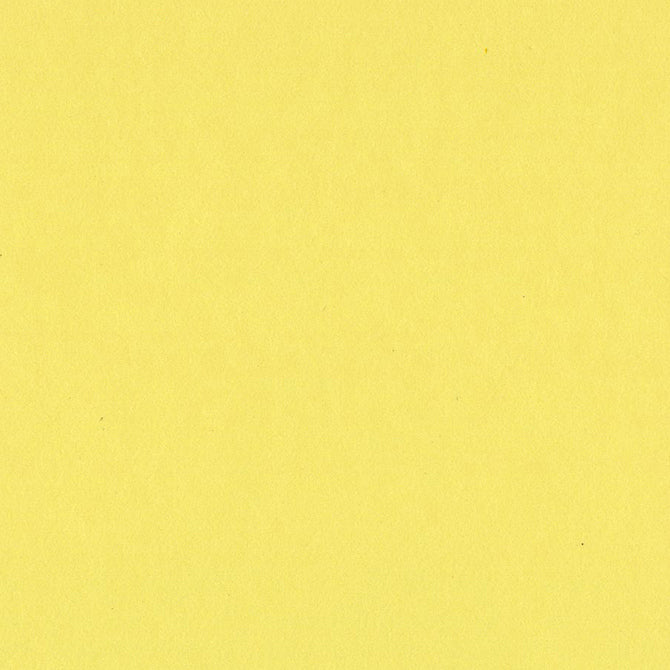 bazo1199パステルイエロー SOUR LEMON - 100 lb Yellow 12x12 Cardstock - Bazzill Card Shoppe