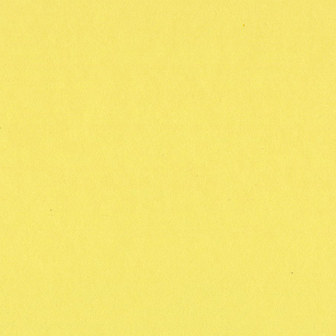 SOUR LEMON bright yellow 12x12 heavy cardstock from Bazzill Card Shoppe line