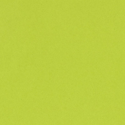 JUICY PEAR lime green 12x12 heavy cardstock from Bazzill Card Shoppe line