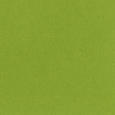 EASTER GRASS spring green 12x12 heavy cardstock from Bazzill Card Shoppe line