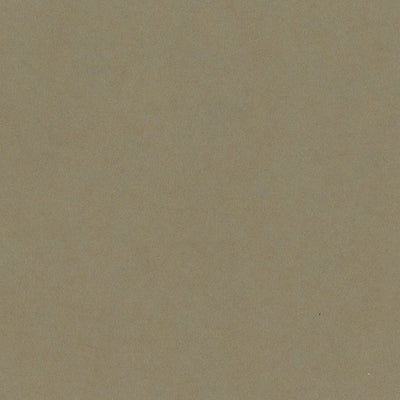 PEANUT CLUSTER sandy brown 12x12 heavy cardstock from Bazzill Card Shoppe collection