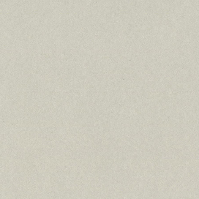 TAFFY light putty gray 12x12 heavy cardstock from Bazzill Card Shoppe collection