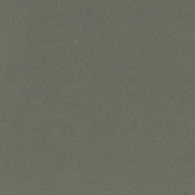 ROCK CANDY gray 12x12 heavy cardstock from Bazzill Card Shoppe collection