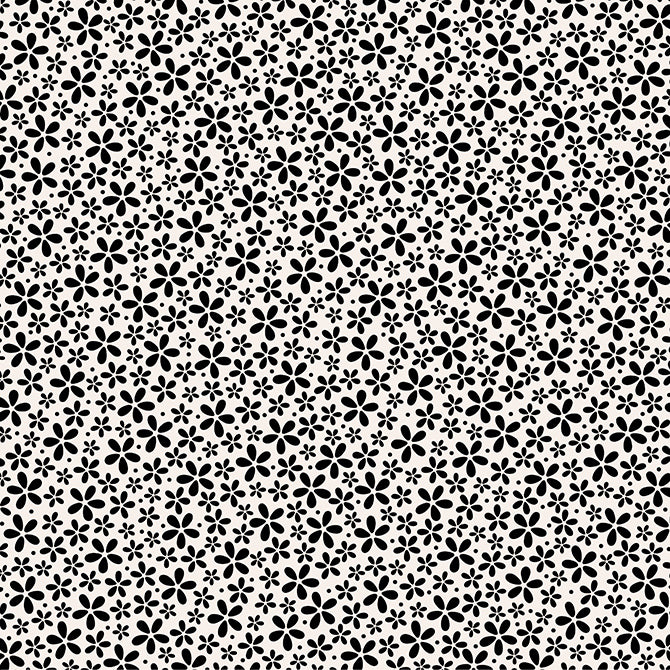 Petite black daisies on ivory background - 12x12 patterned paper by Core'dinations