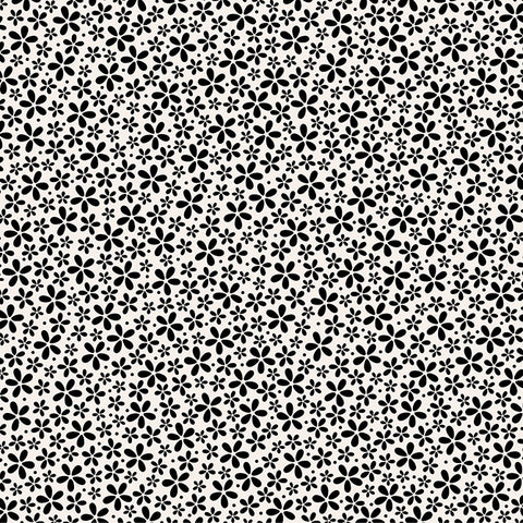 
  
	
    
	
    PETITE BLACK DAISIES - 12x12 Patterned Cardstock - Core'dinations