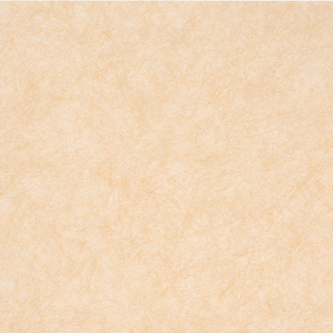 Light Gold Shimmer 12x12 specialty paper from American Crafts