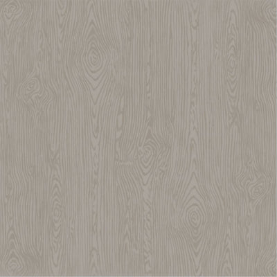 NICKEL Wood Grain 12x12 Cardstock from American Crafts