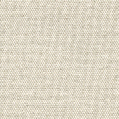 12x12 canvas with light paper backing - American Crafts specialty paper