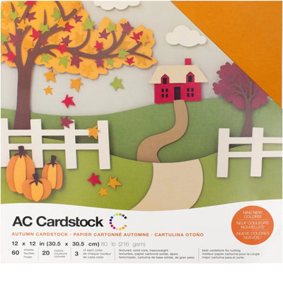 Autumn cardstock colors-variety pack-60 ct-12x12 inch-80 lb-textured cardstock-American Crafts scrapbook paper