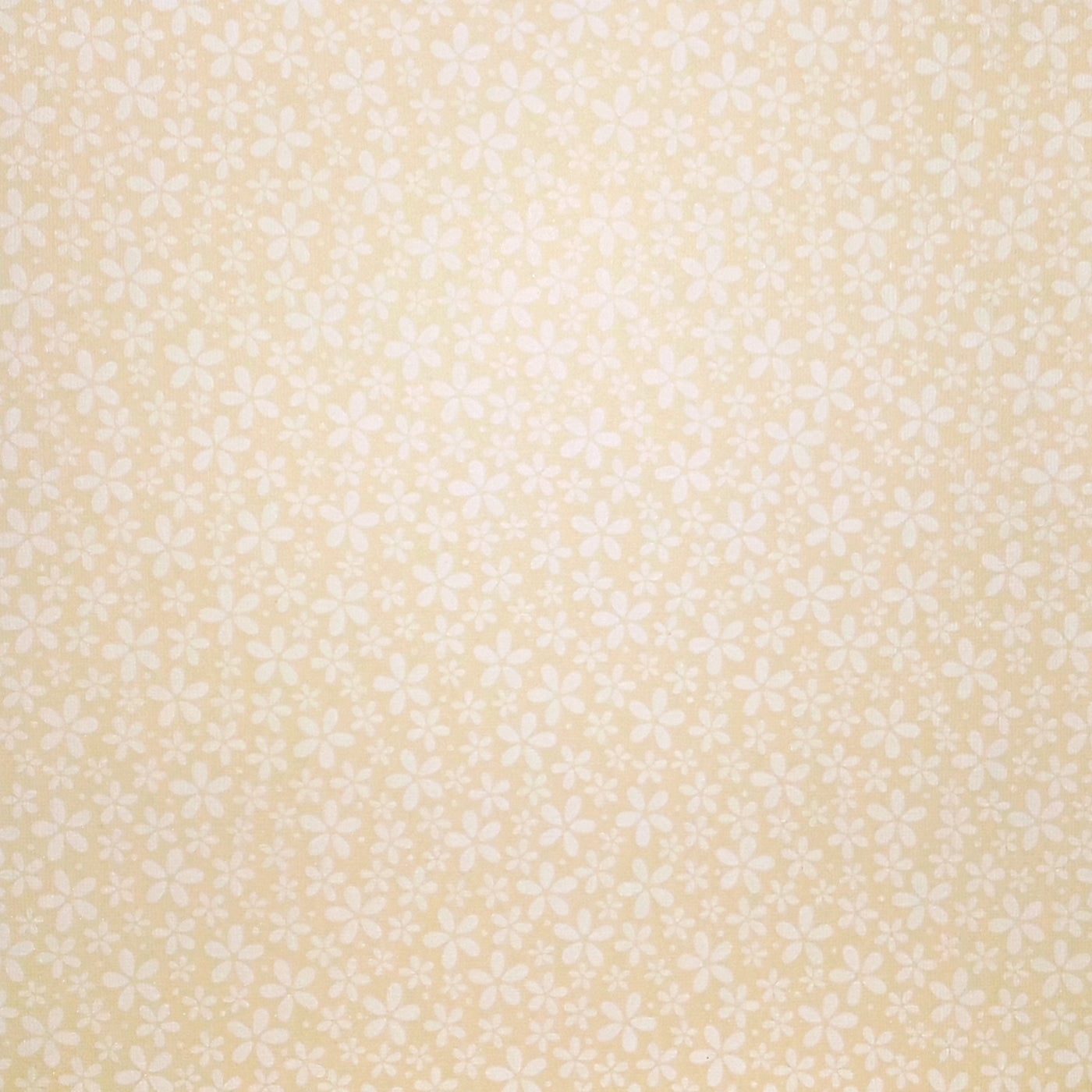 Cream Flower - patterned cardstock with white flowers on creamy yellow background - coredinations