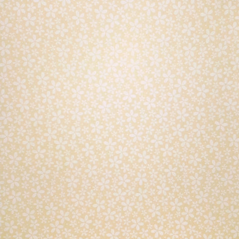 
  
	
    
	
    CREAM FLOWER - 12x12 Patterned Cardstock - Core'dinations