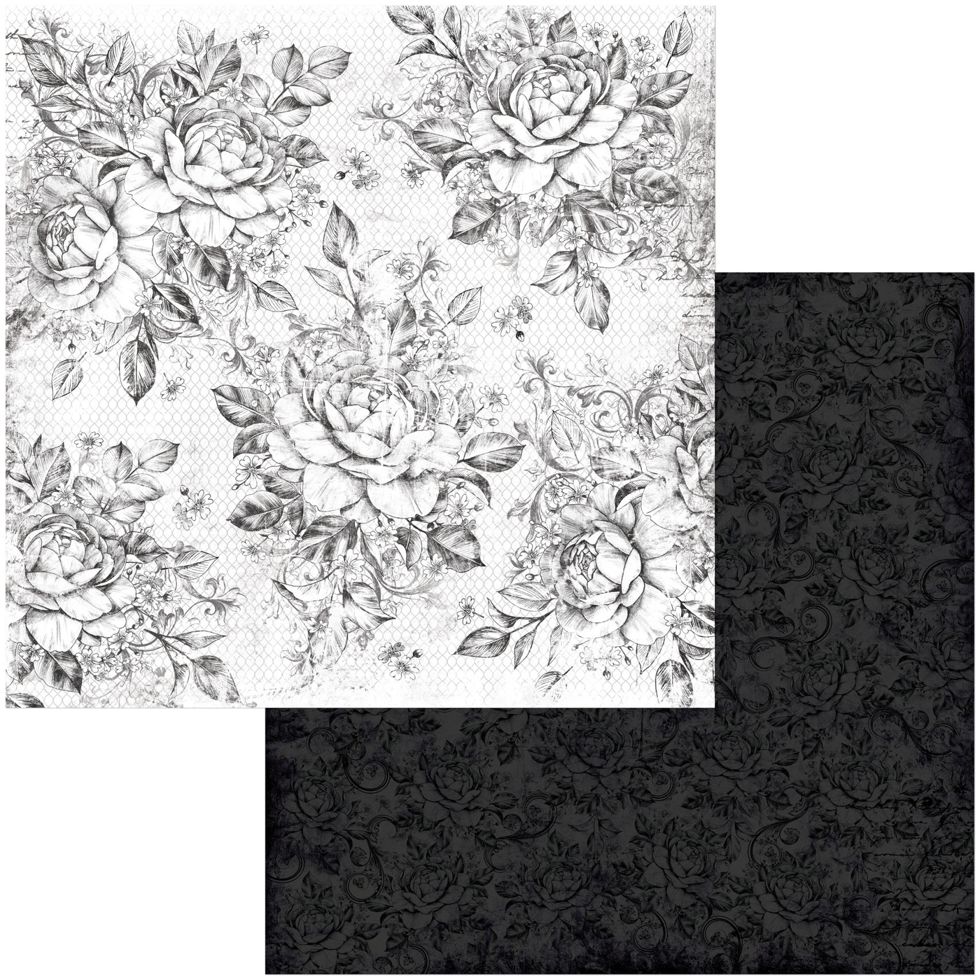 Roses - 12x12 double-sided patterned paper with black and white rose motifs - BoBunny