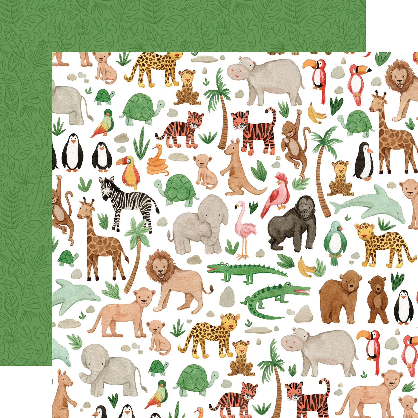 ANIMAL KINGDOM 12x12 Collection Kit - Echo Park