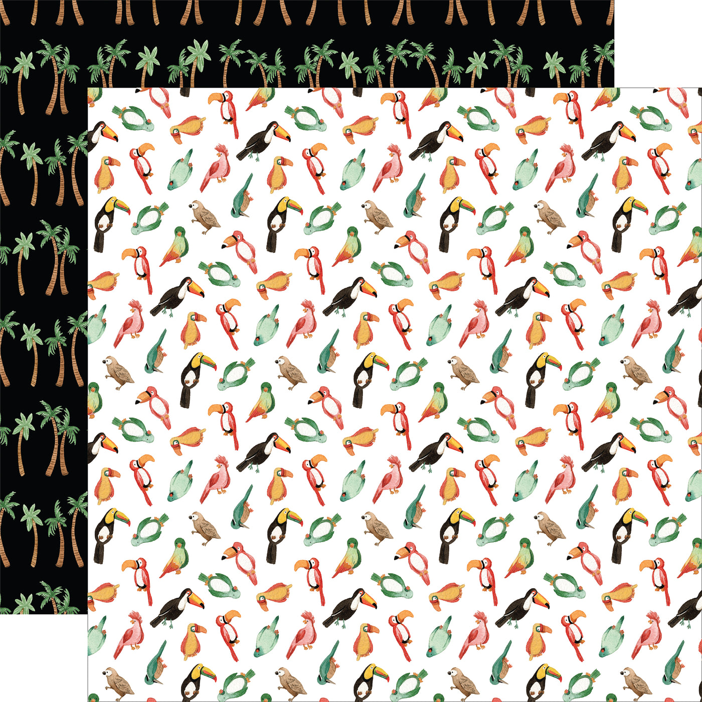 ANIMAL KINGDOM 12x12 Collection Kit - Echo Park