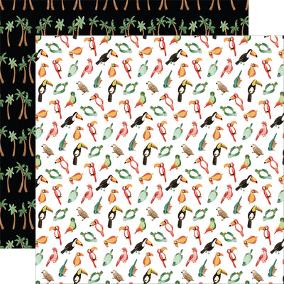 ANIMAL KINGDOM 12x12 Collection Kit - Echo Park