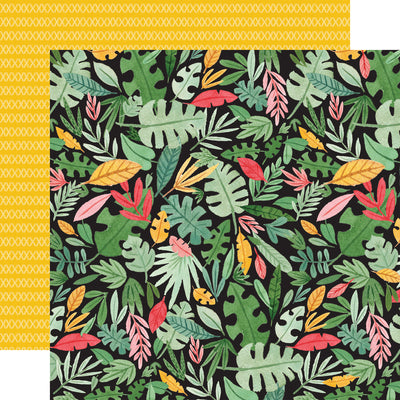 ANIMAL KINGDOM 12x12 Collection Kit - Echo Park