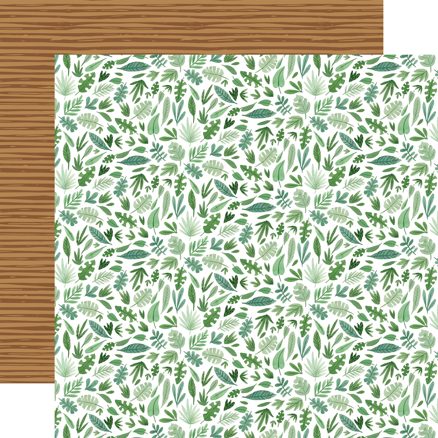ANIMAL KINGDOM 12x12 Collection Kit - Echo Park