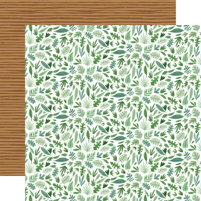 ANIMAL KINGDOM 12x12 Collection Kit - Echo Park