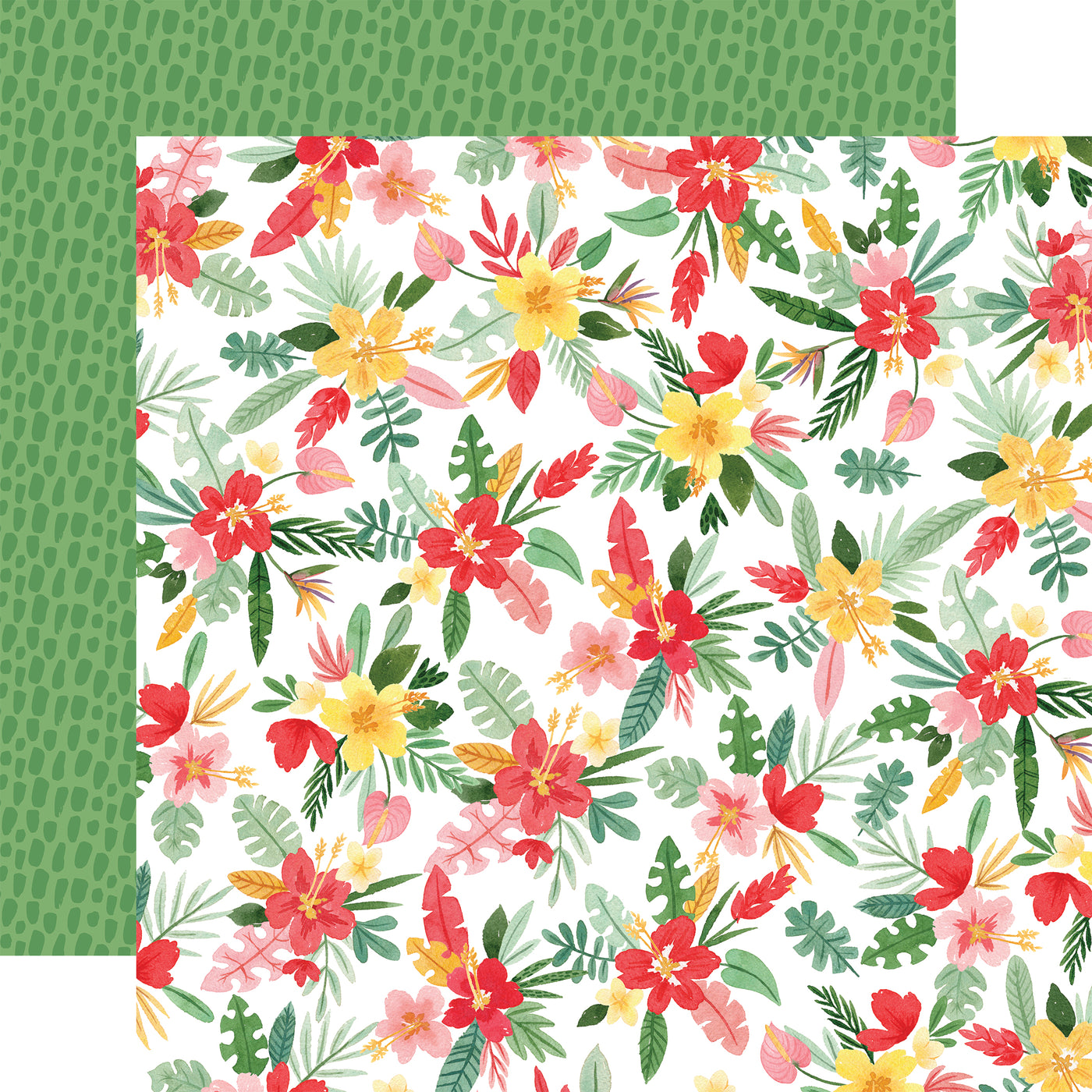 ANIMAL KINGDOM 12x12 Collection Kit - Echo Park
