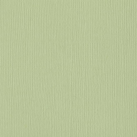 ALOE_VERA_seafoam_green_cardst