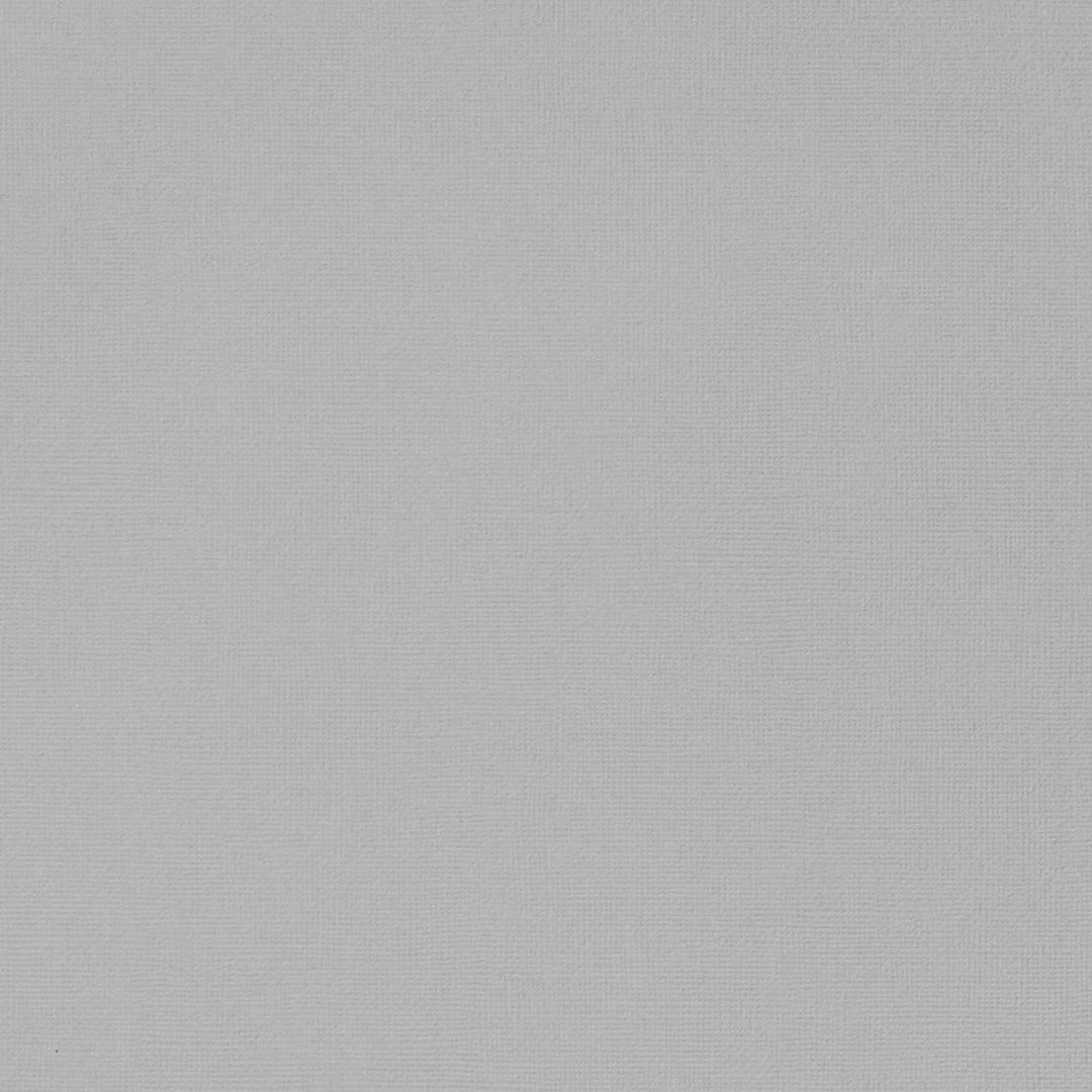 ASH_gray_cardstock_American_Cr