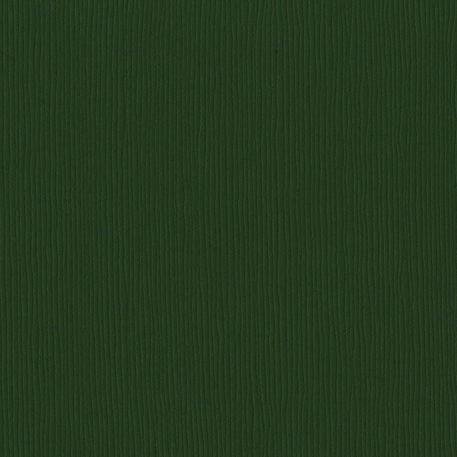 Bazzill Basics AVOCADO dark green cardstock - 12x12 inch - 80 lb - textured scrapbook paper
